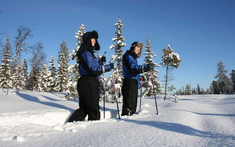 Kiruna: Snowshoe Trek with Warm Beverage and Sandwich - Key Takeaways Before You Go