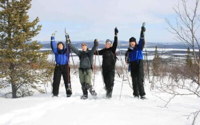 Kiruna: Snowshoe Trek with Warm Beverage and Sandwich - Meeting in Kiruna: Starting Point and Timing That Actually Works