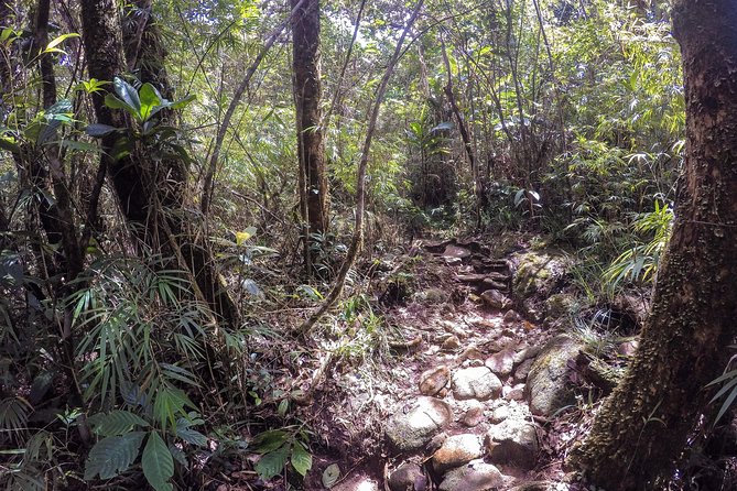 Knuckles Leopard trail Trek from Kandy - Picnic lunch at a waterfall or Knuckles peak: eating during the hike