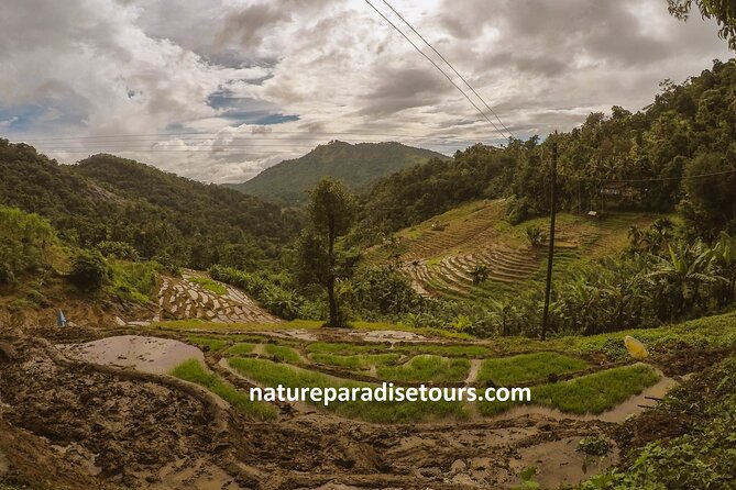 Knuckles Spice Trail Trek from Kandy - Key highlights you’ll feel fast