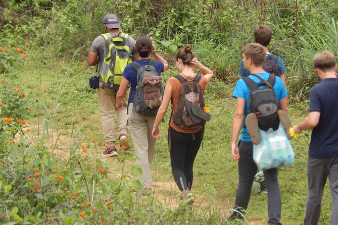 Knuckles Spice Trail Trek from Kandy - Lunch Picnic vs Village Meal: The Real Trade-Off