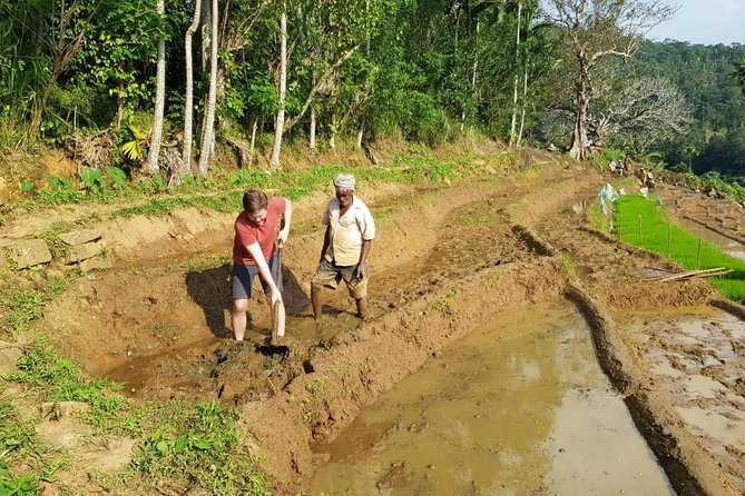 Knuckles Spice Trail Trek from Kandy - Gear, Pace, and Who This Trek Fits Best