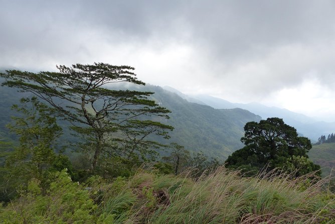 Knuckles Spice Trail Trek from Kandy - Price and What You Actually Get for $85