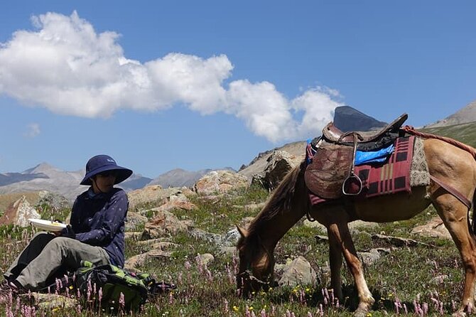 Kolahoi Glacier Trek - Price and Logistics: What You’re Paying For (and What You’re Not)