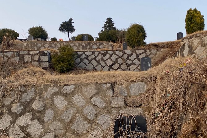 Korean Cemetery and Folklore Trek - Yongmi-ri Cemetery 1: Seeing Burial Customs Up Close and With Respect