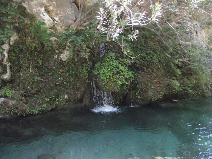 Kourtaliotiko Gorge: Guided River Trekking with Lunch - Banana Garden: the exit from the olive grove and the lunch reset