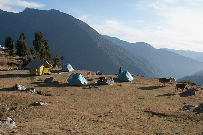 Kuari Pass Trek- 8 Days - Day 2: Chefna to Ghuni—shorter trekking time, still lots of payoff