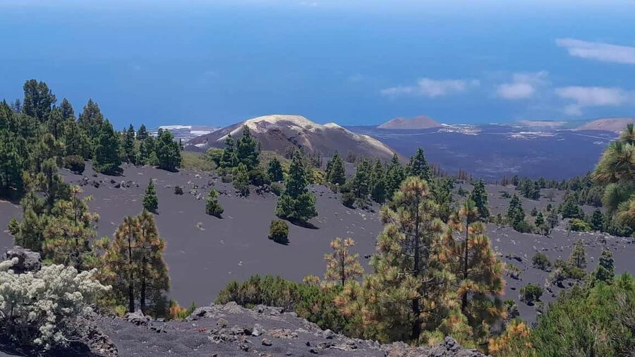 La Palma: Guided e-bike tour (trekking) - The e-bike setup that makes the day actually enjoyable