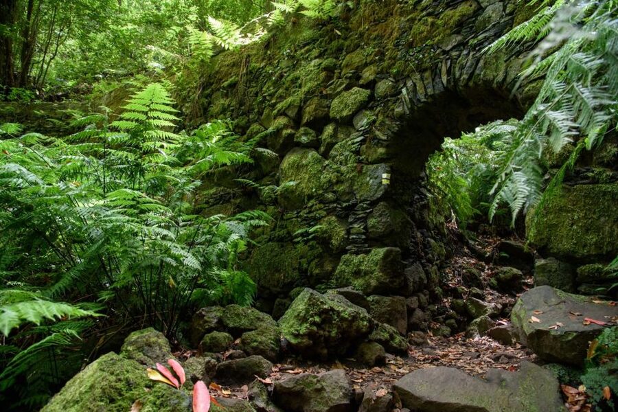 La Palma: Guided Trekking Tour To Cubo de la Galga - Price and Value: Paying $38 for Guide Time and Real Trail Access