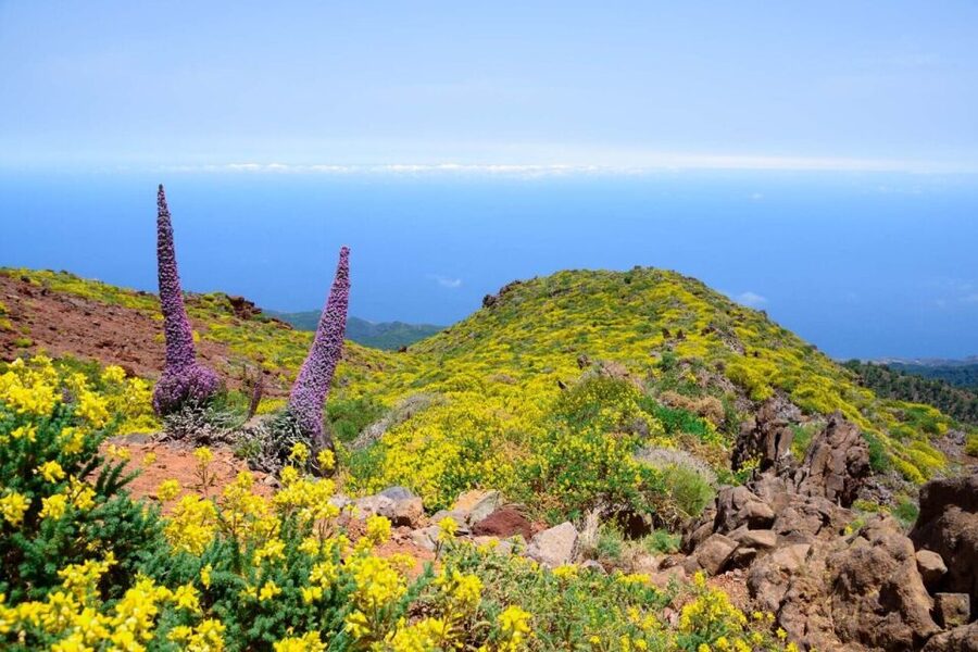 La Palma: Guided Trekking Tour to El Roque de los Muchachos - Key moments you’ll remember