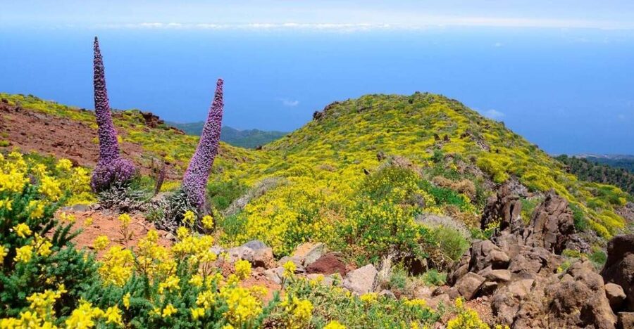 La Palma: Guided Trekking Tour to El Roque de los Muchachos - The old Tijarafe–Santa Cruz path: why this hike feels different