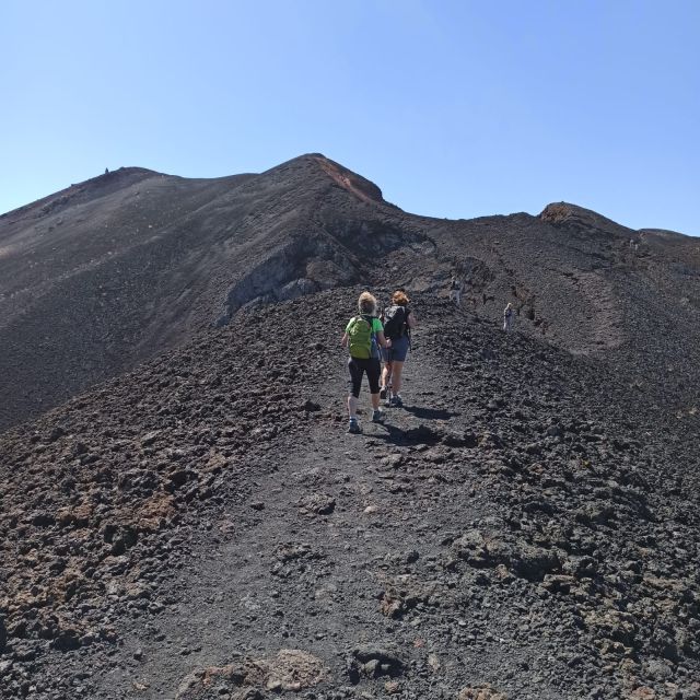 La Palma: Guided trekking tour to volcanoes south - Why the guide talk matters on a volcano route (and what you’ll hear)