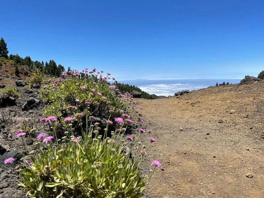 La Palma: Guided trekking tour to volcanoes south - What to bring when food and drinks aren’t included