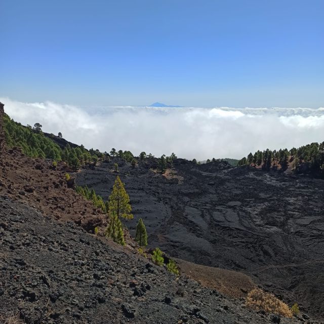 La Palma: Guided trekking tour to volcanoes south - Value check: is about $50 worth it?