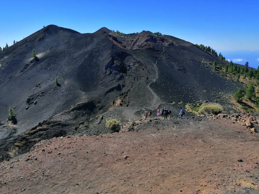 La Palma: Guided trekking tour to volcanoes south - GR-131 through the pine-and-volcano transition on the island’s youngest zone