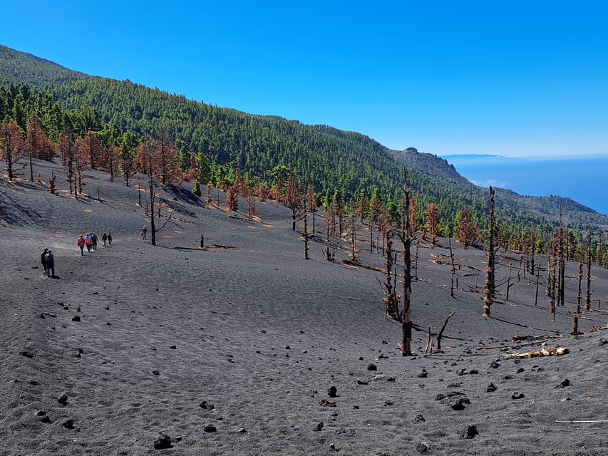 La Palma: Tajogaite Volcano Guided Trek - Quick hits before you go