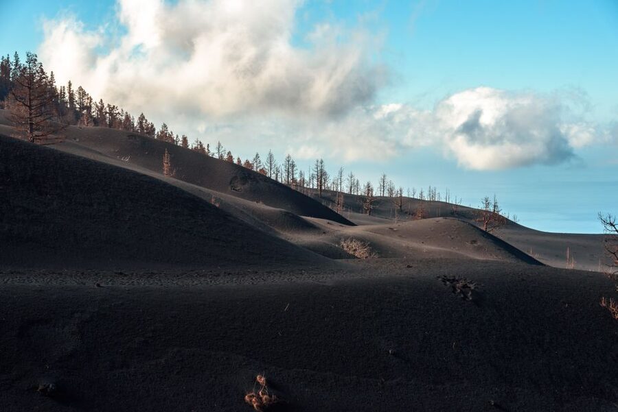 La Palma: Tajogaite Volcano Guided Trek - Price and value: why $45 is a fair deal for a guided 4-hour hike