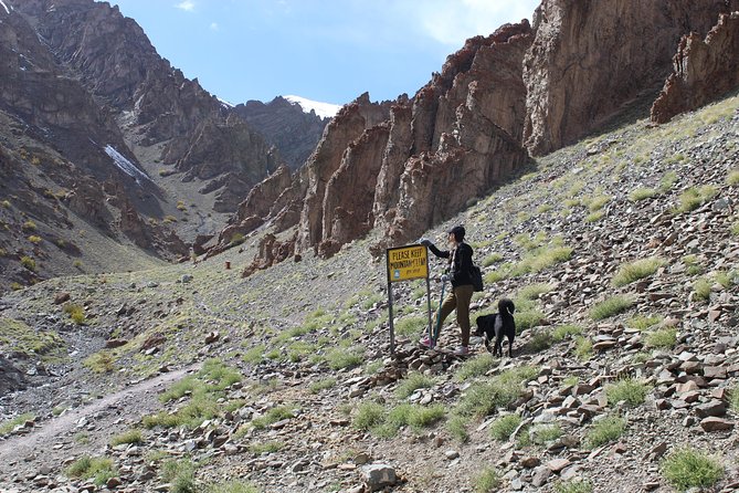 Ladakh Sham Valley Trek - Day 2 to Hemis Shukpachen: Tsermangchen La and the cedar-grove village vibe