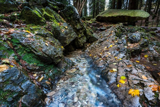 Lake Como trekking private guided tour, from Milan - Price and value: $216.74 per group (up to 3)