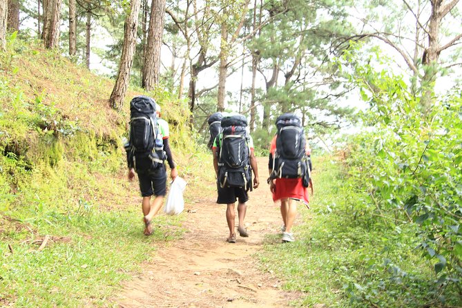 Langbiang Green Trekking Tours - Signature Trekking Da Lat - Lang Biang Mountain: the kind of hike that changes the way you see Da Lat