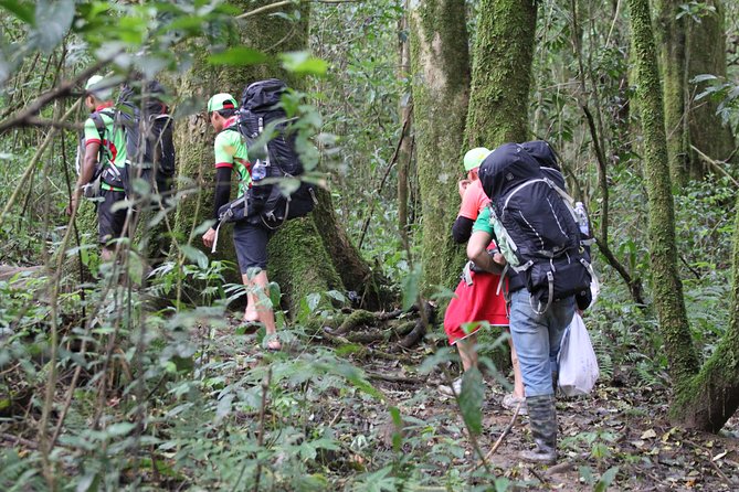 Langbiang Green Trekking Tours - Signature Trekking Da Lat - Getting to the trail without the usual Da Lat hassle