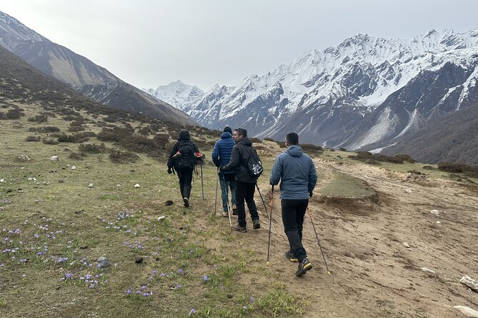 Langtang Trekking - Licensed English guide + permits: why that’s more valuable than it sounds