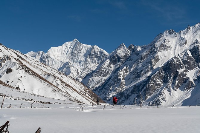 Langtang Valley Trek - Key highlights you’ll care about