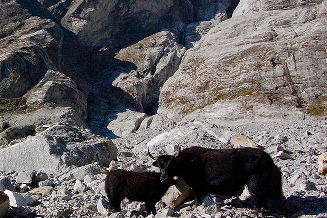 Langtang Valley Trek – 11 DAYS - Day 3 drive to Syabrubesi: the last car ride before the mountains