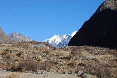 Langtang Valley Trek - 8 days - Langtang National Park and the Tamang feel you’ll actually notice