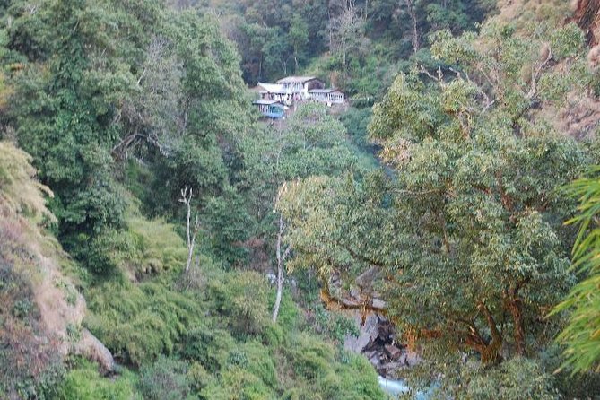 Langtang Valley Trek - 8 Days - Day 6: Back to Lama Hotel through rhododendron forests