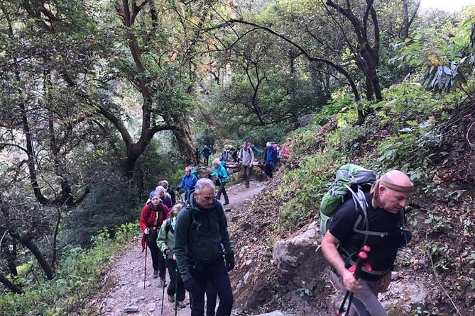 Langtang Valley Trek - Should you book this Langtang Valley Trek?