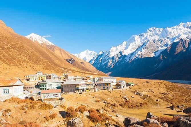Langtang Valley Trekking - Day 6: Kyanjin Gompa down to Lama Hotel (your knees will take notes)