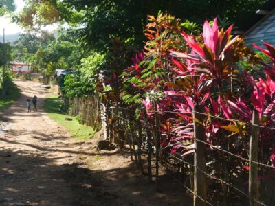 Las Terrenas: El Limón Waterfall Trekking Tour in Samana - The 8am start: why timing is everything