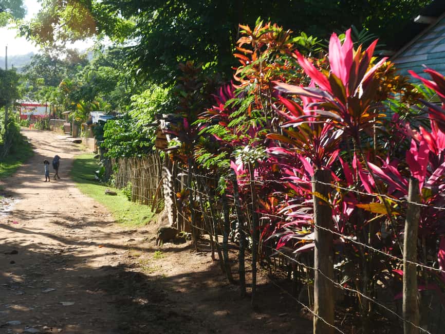 Las Terrenas: El Limón Waterfall Trekking Tour in Samana - The 8am start: why timing is everything