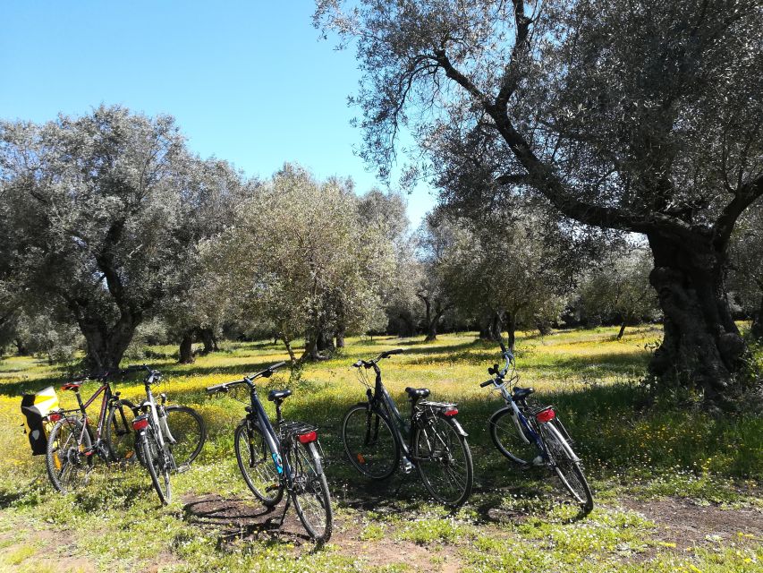 Lecce: Bike Rental (City, Trekking, E-Bikes) - Common snags to plan for before you ride