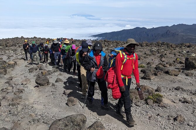 Lemosho Route 7 Days Trekking at Mount Kilimanjaro - Weather and conditions: plan for wet, cold, and slow