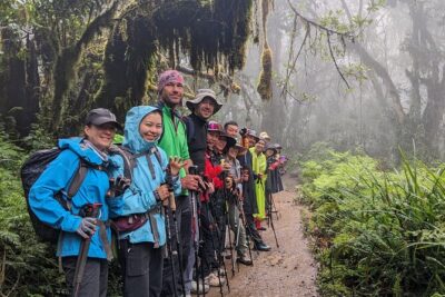 Lemosho Route 7 Days Trekking at Mount Kilimanjaro - From Arusha to Londorossi Gate: your first lesson is altitude prep