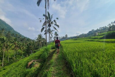 Lemukih Hidden Trekking Waterslide Sekumpul and Fiji Waterfall - Sekumpul Waterfall: the dramatic one you’ll want to linger at