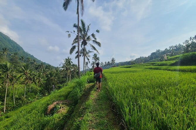 Lemukih Hidden Trekking Waterslide Sekumpul and Fiji Waterfall - Sekumpul Waterfall: the dramatic one you’ll want to linger at