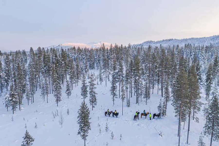 Levi: Riding Trek with Icelandic Horses - Key things that make this Levi horse trek worth your time