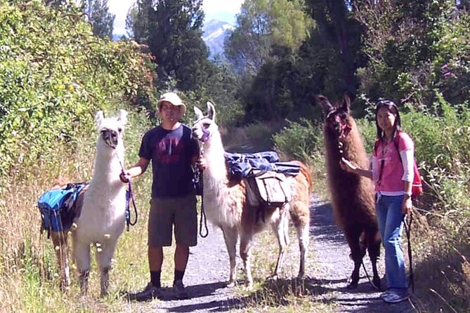 Llama Trek (Taster) - Kowhai River Valley and Native Woodland Tour - Meeting at Kowhai Ford Road and getting your bearings