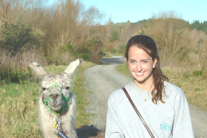 Llama Trek (Taster) - Kowhai River Valley and Native Woodland Tour - Walking the Kowhai River banks: elevated views and wildlife sounds