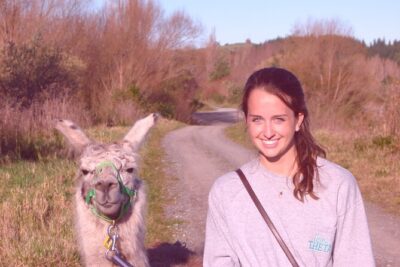 Llama Trek (Taster) - Kowhai River Valley and Native Woodland Tour - The taster trek: what the 90 minutes really feels like