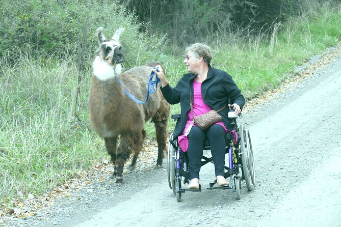 Llama Trek (Taster) - Kowhai River Valley and Native Woodland Tour - Into the riverbed area: why this part makes it feel “real”