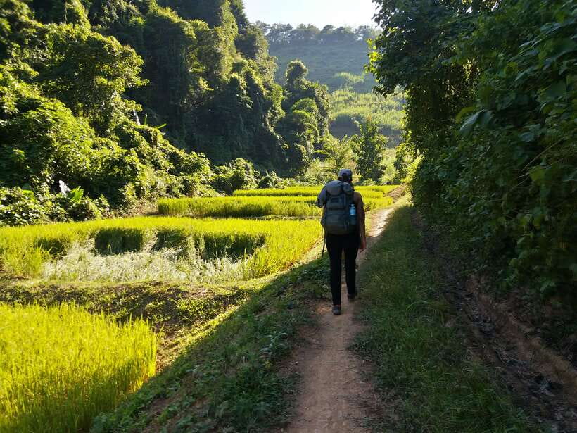 Luang Prabang: 3-Day Cultural Remote Trek With Homestay - Day 2: Valley Streams to a Large Mixed Hmong–Khmu Village
