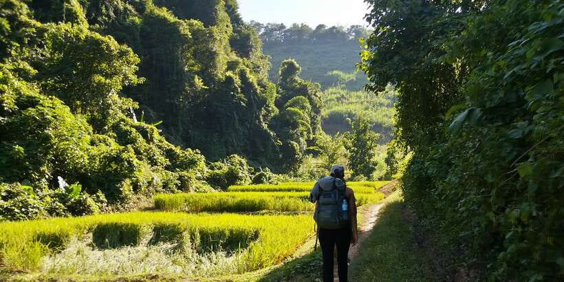 Luang Prabang: 3-Day Cultural Remote Trek With Homestay - Who Should Book This Trek (and Who Should Skip It)