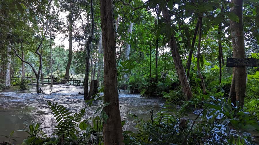 Luang Prabang: Full Day Trek to Kuang Si Waterfall & Village - Key points before you go