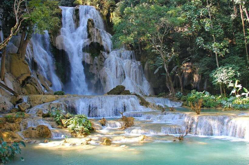 Luang Prabang Trekking LongLao to Kuang si falls full day - Bear Sanctuary Stop: rescued bears close-up, with mixed feelings possible