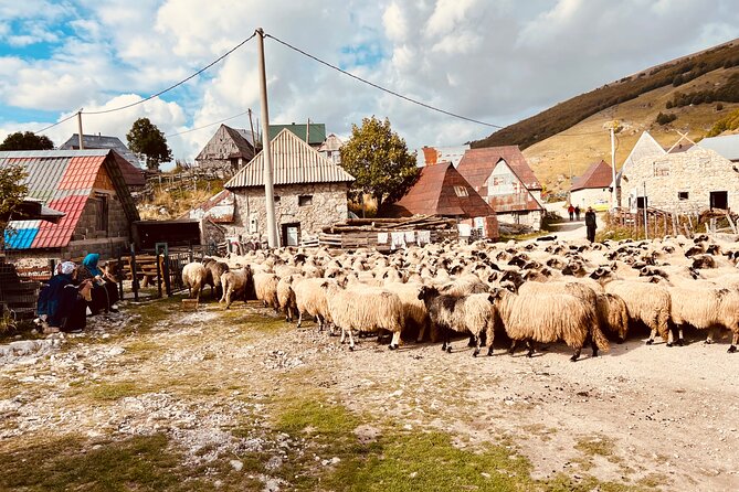 LUKOMIR VILLAGE HIKE & TREK TOUR (nature, hike, food & panorama) - Lukomir Village, panorama, and Canyon Rakitnica (about 1 hour)