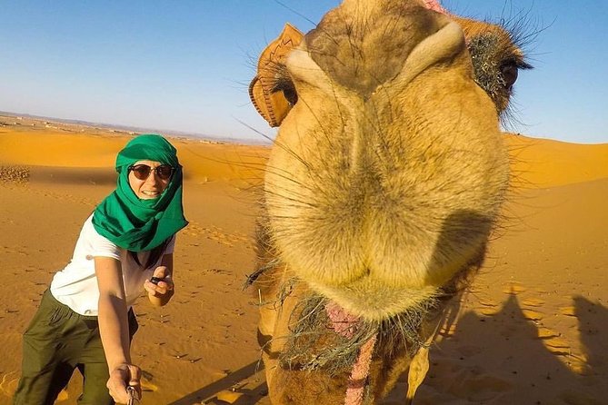 LUXURY Desert Camp: 3 Days Marrakech to Merzouga and Camel Trek - Entering The High Atlas From Marrakech (7:00 AM And Lots Of Road Time)